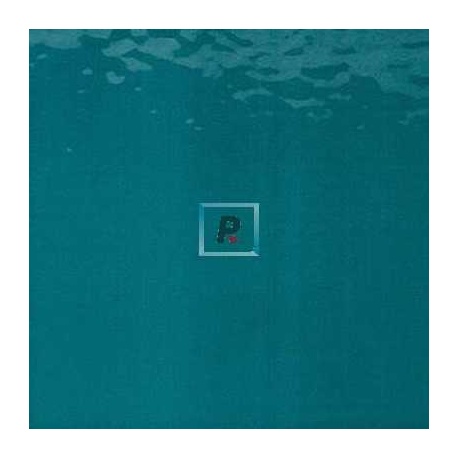 T-29 Dark Green Classic Transparent 80x60cm