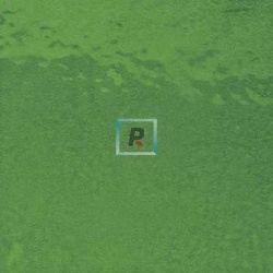 T-152 Green Plaque 80x60cm