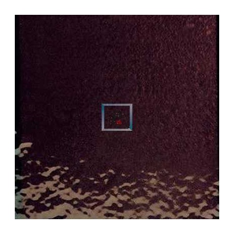 T-155 Plaque Marron 40x30cm