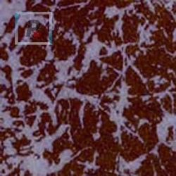 A-255 Red and Violet Crucible 40x30cm