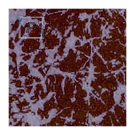 A-255 Red and Violet Crucible 40x30cm