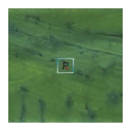 PR 06 Green Prism Glass 80x60cm