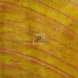 PR 19 Yellow-Pink Prism Glass 40x30cm