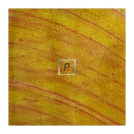 PR 19 Yellow-Pink Prism Glass 40x30cm