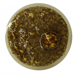 Burbuja OroTransparente CBT46K 200GR.