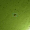 4-1 Green Light Yellow Cathedral Antic