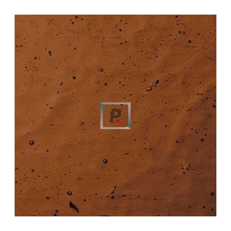 Catedral Antic 6-5 Marron