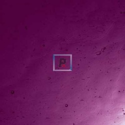 32-2 Dark Grape Antic Cathedral