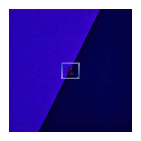 Uroboros 60-424-96 Cobalt Blue Trp. 30.5x15cm