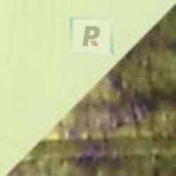 Frits F3-707-96 Citron Iridescent