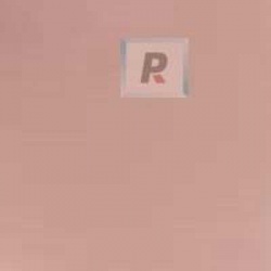 Frits F5-5911-96 Champagne