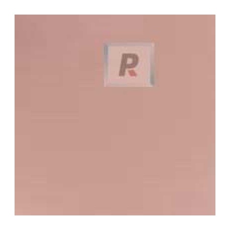 Frits F5-5911-96 Champagne