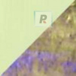 Frits F5-707-96 Citron Iridescent