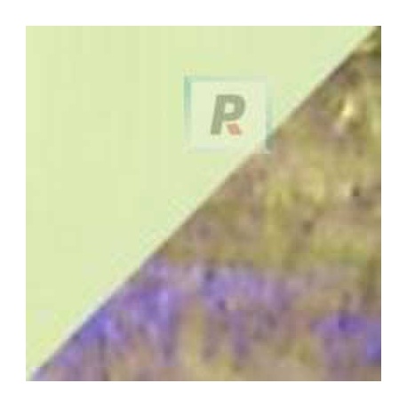 Frits F5-707-96 Citron Iridescent