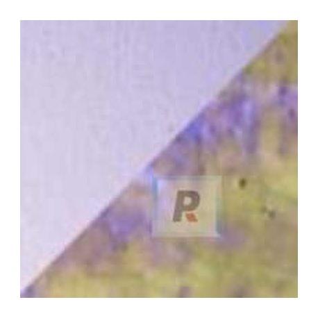 Fritas S96-F7 Orquidea de Neon Iridiscente 476 (240g)