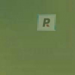 Frits F7-5284-96 Olive Green