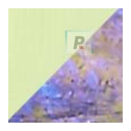 Frits F7-707-96 Citron Iridescent