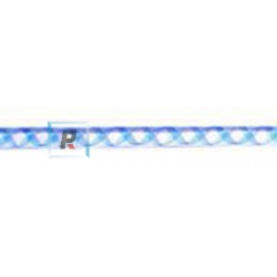 Cane Zanfirico Blue CO CZ4-96