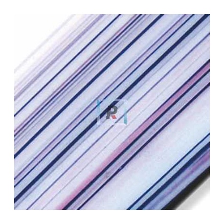 STRIPE/4941SF "Valhalla"