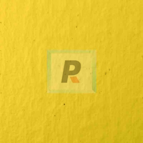 Hoja Ambar Claro 008 25x32.5cm