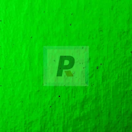 Hoja Verde Esmeralda Oscuro 030 50x65cm