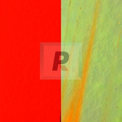 Murano Glass 076 Red 50x32.5cm