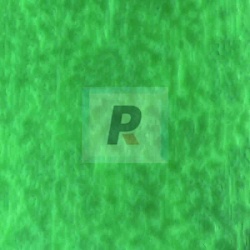 Hoja Verde Opal 216 50x25cm