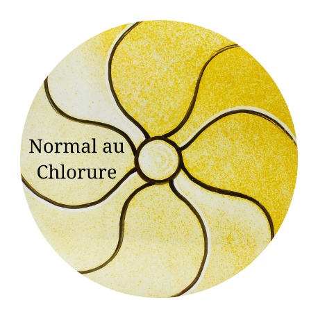 Silver Yellow Normal au Chlorure 580º-750ºC 100gr.
