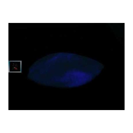 Glow Glass Polvo Purpura