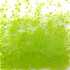 FF/3 Opalina Verde Pistacho 3075 250 Gr