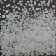 3100 White FF/4 250 Gr
