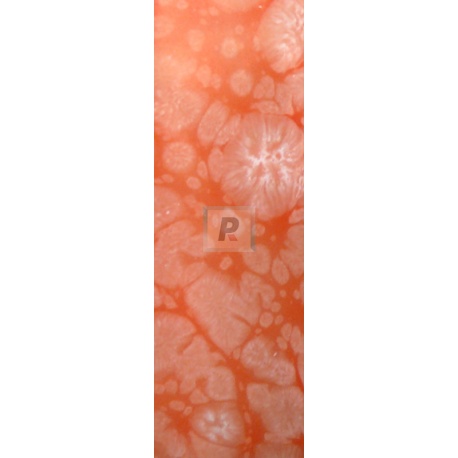 303-T/S Salmon Reactive