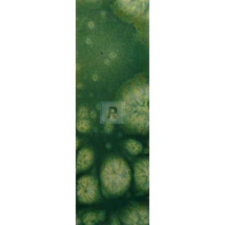 304-T/S Apple Green Reactive