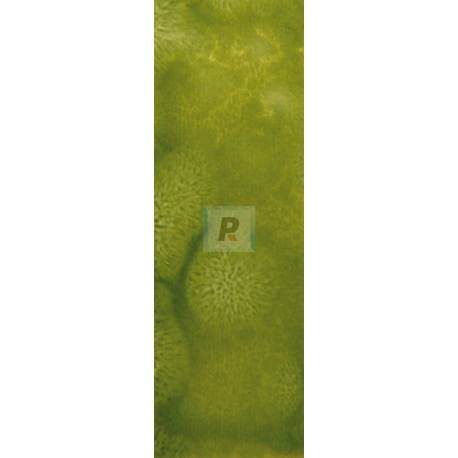 Reactivo Verde Limon 305-T/S