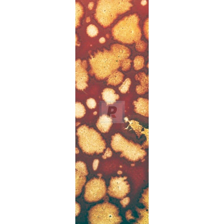 124-U/T Chestnut Brown Brick Reactive