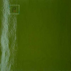 Opaco Fusing Verde Hierba 60-755-96 61x61cm