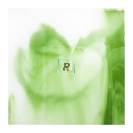 Urob. 60-7555-96 DRS Fern Green Op. 61x61cm