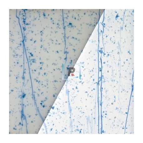 Mardi Gras Azul Aguamarina 13-5333-96 61x61cm