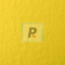 Hoja Ambar Claro 008 100x65cm