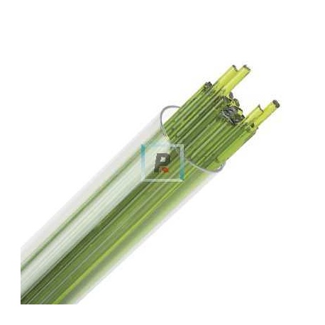 Stringer Transparente Verde Primavera 1426 de 2mm