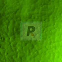 Wissmach 1146 Yellowish Green CC 82x53cm