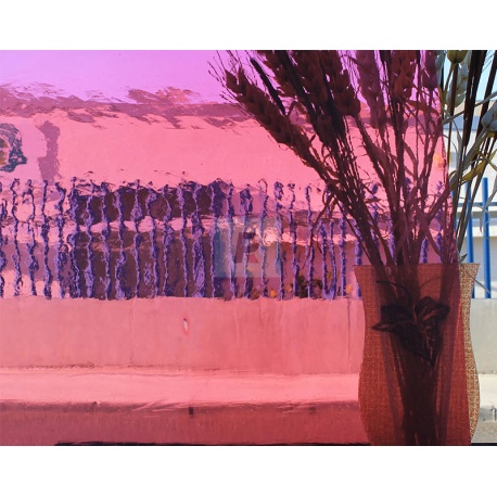 Lamberts Plaqué Rosa Fucsia 1042 U Normal