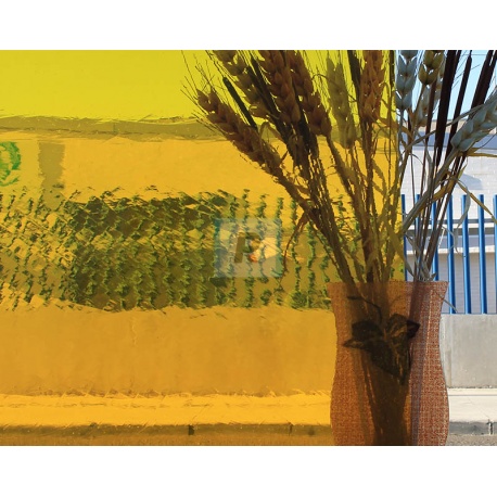 Lamberts Plaqué Amarillo Selenio 3407 U 