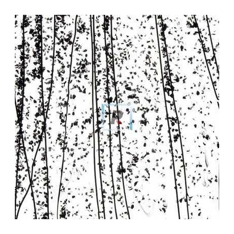 4200 Black Frit, Black Streamers 89x51cm