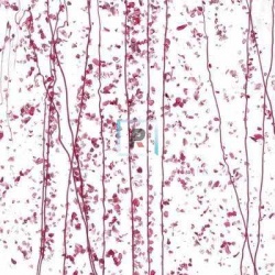 Mardi Gras Rosa y Arandano 4215 44.5x51cm