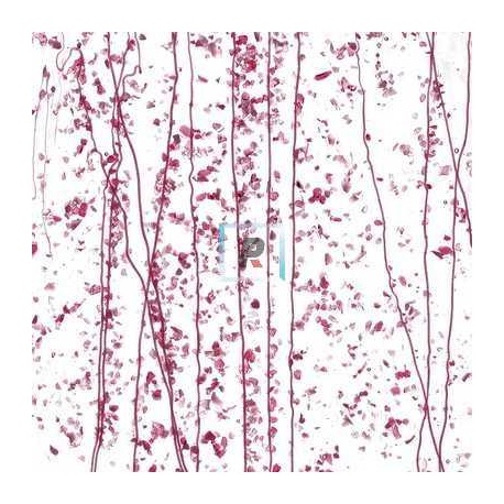 Mardi Gras Rosa y Arandano 4215 44.5x51cm