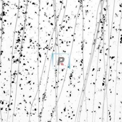 Mardi Gras Gris y Negro 4218 89x51cm