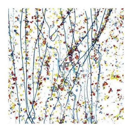 Mardi Gras Amarillo, Azul y Rojo 4223 22x25.5cm