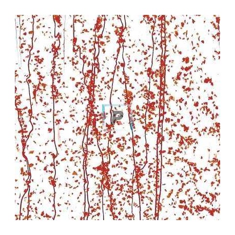 4224 Red Frit, Red Streamers 44.5x51cm