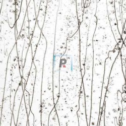 Mardi Gras Gris y Bronce 4229 25.5x11cm